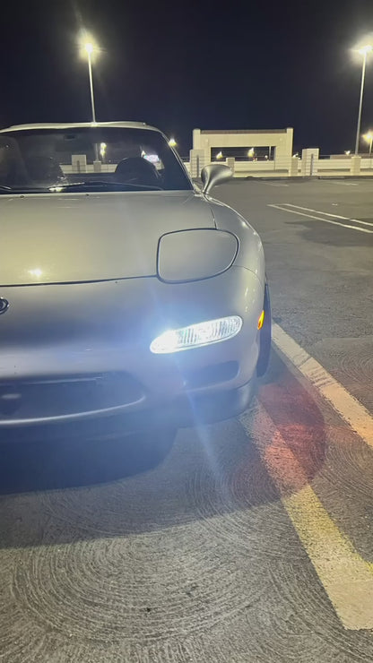 Iris Lights Pre-Order